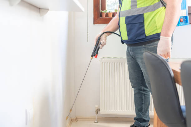 Best Local Pest Control Services  in Paw Paw, MI