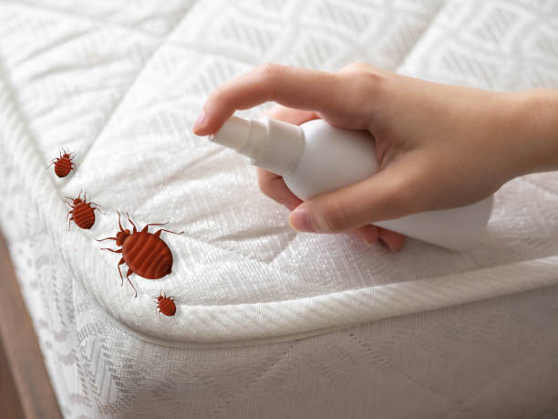 Best Emergency Pest Control  in Paw Paw, MI