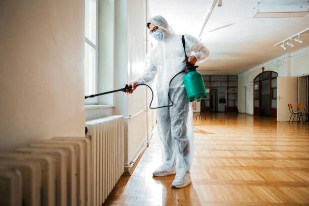 Best Ant Control Services  in Paw Paw, MI