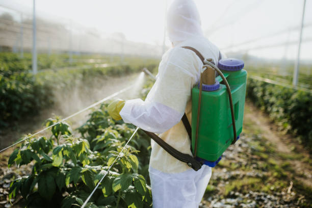 Best Pest Control Near Me in Paw Paw, MI